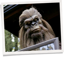 Bigfoot proudly showcasing new Indow Window Insert that he will install inside his cabin