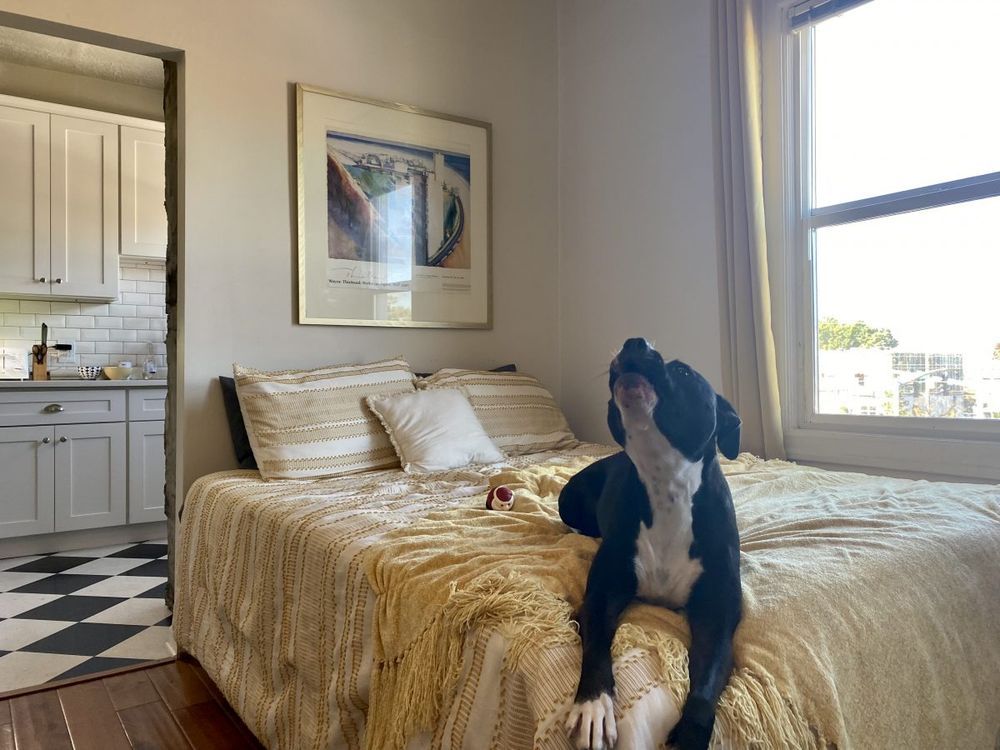 customer installing indow window insert options