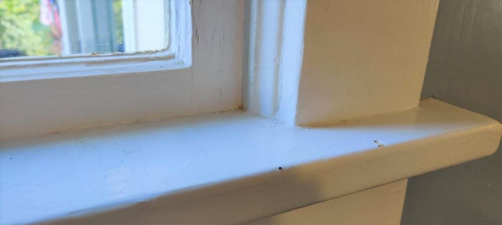 Old window painted shut: In some cases it could be illegal to have windows painted shut